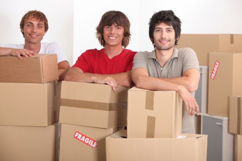 Local van service transporting boxes and household items